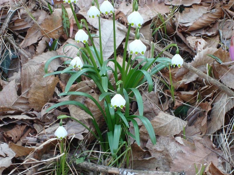 Bild 084 (Medium)